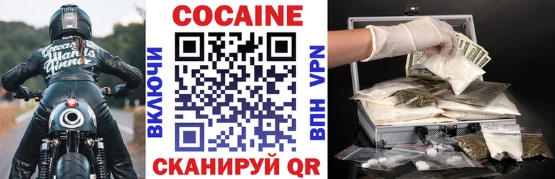 кракен как войти  Сураж  COCAIN Эквадор 