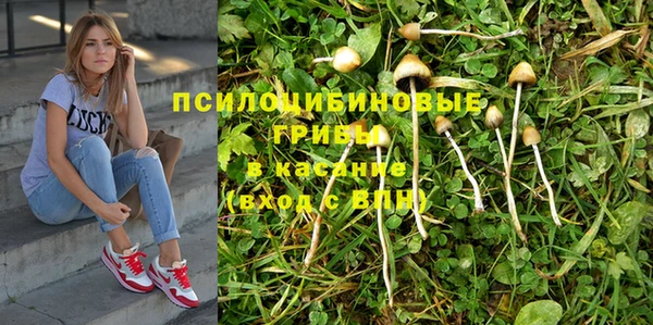 прущие крисы Дмитровск