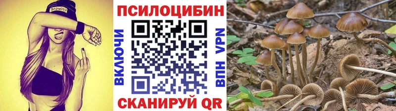 Псилоцибиновые грибы GOLDEN TEACHER  Сураж 