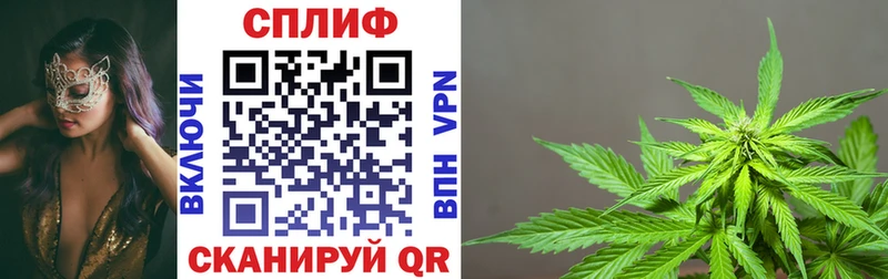 МАРИХУАНА MAZAR Сураж
